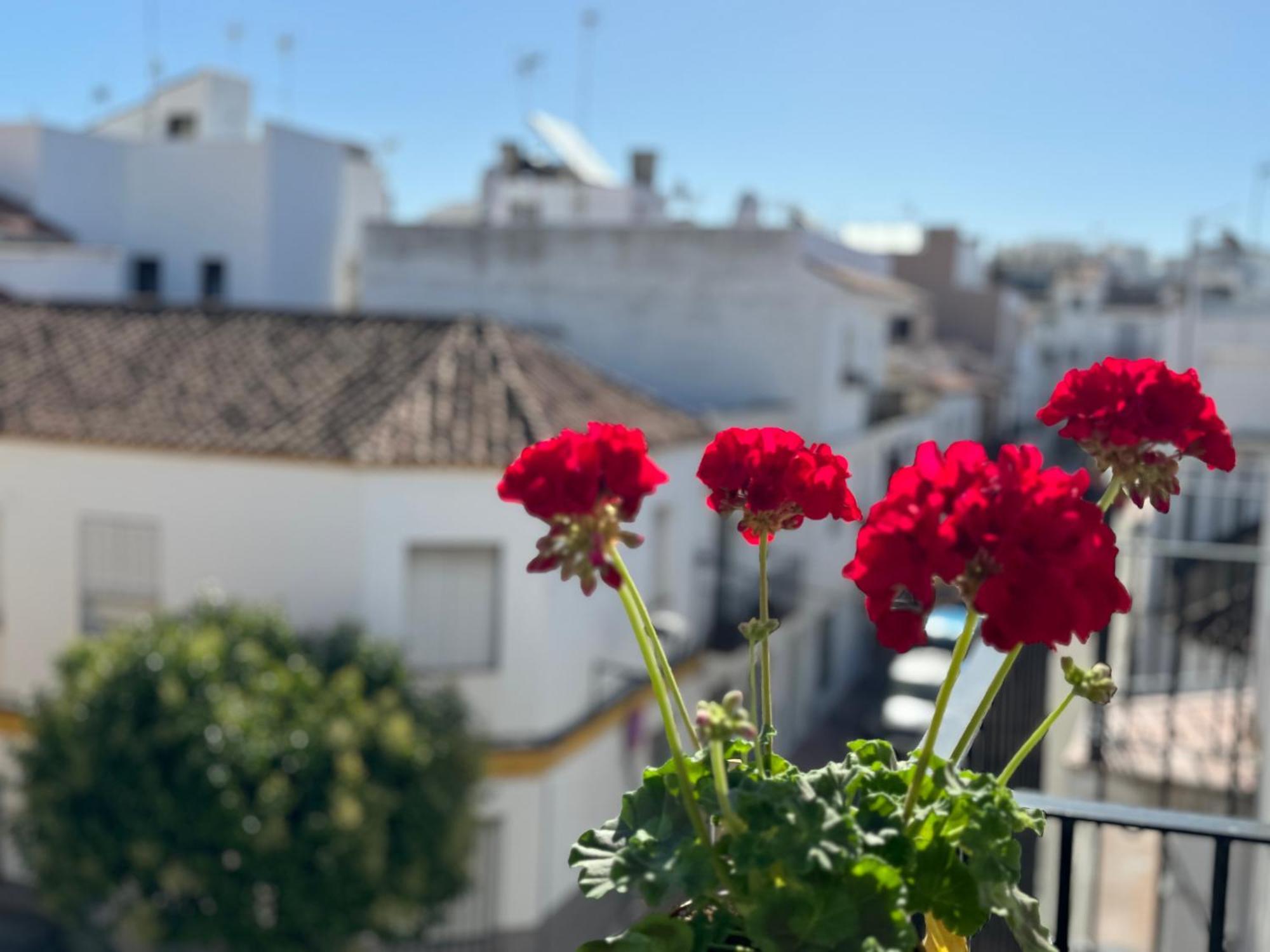 Encantadora Casa En El Corazon De Estepona Exterior foto